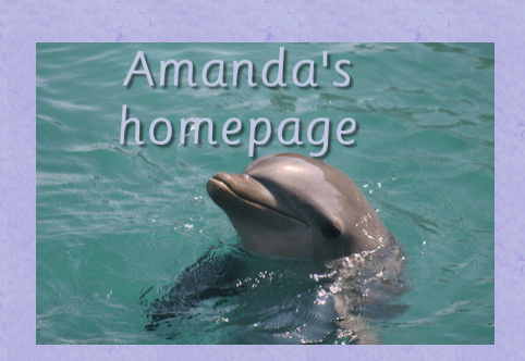 Amanda's homepage image